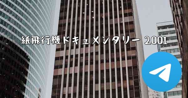 紙飛行機ドキュメンタリー 2001