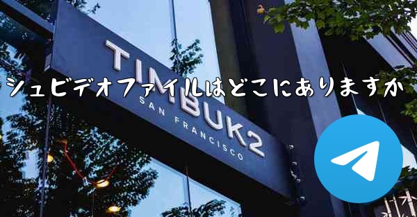 Paper Plane のキャッシュビデオファイルはどこにありますか