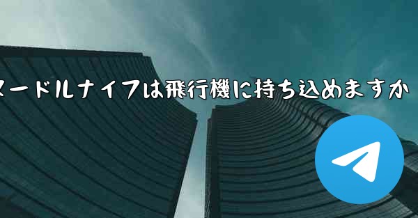ヌードルナイフは飛行機に持ち込めますか