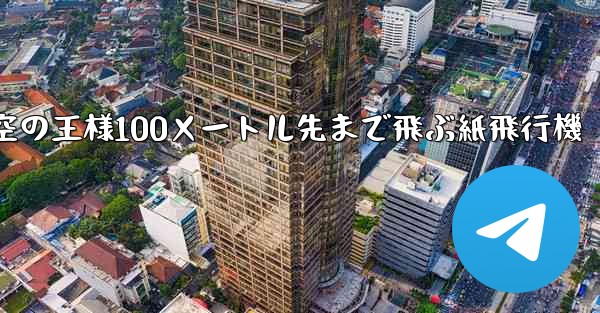 空の王様100メートル先まで飛ぶ紙飛行機