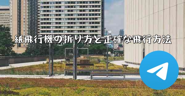 紙飛行機の折り方と正確な飛行方法