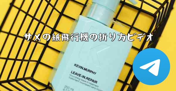 サメの紙飛行機の折り方ビデオ