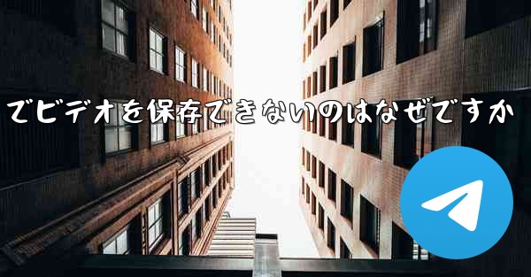 Paper Plane でビデオを保存できないのはなぜですか