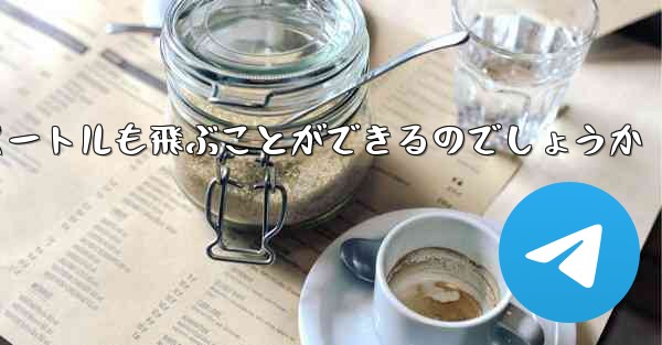 <b>紙飛行機はどうやって100メートルも飛ぶことができるのでしょうか</b>