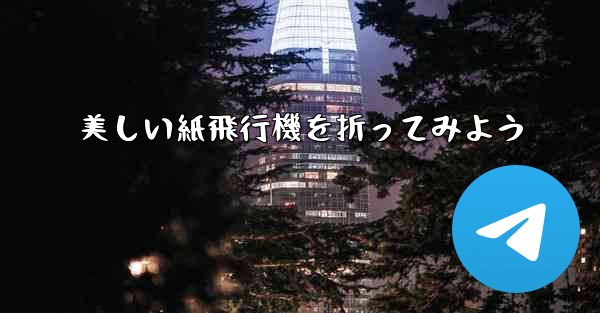 美しい紙飛行機を折ってみよう