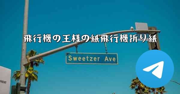 飛行機の王様の紙飛行機折り紙