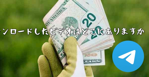 <b>Little Plane がダウンロードしたビデオはどこにありますか</b>