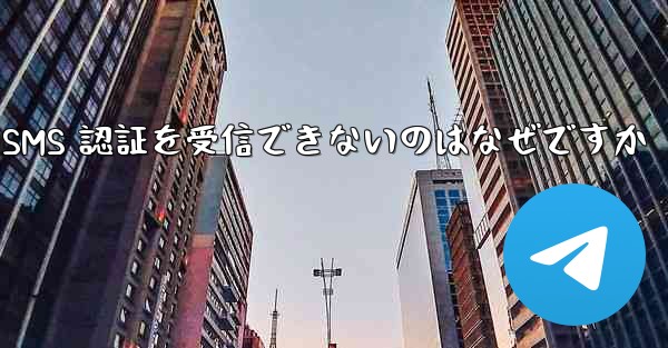 Paper Plane が SMS 認証を受信できないのはなぜですか