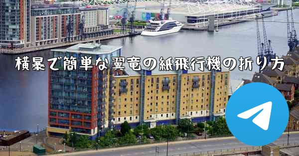横暴で簡単な翼竜の紙飛行機の折り方