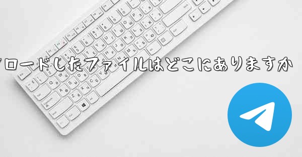 飛行機内で携帯電話にダウンロードしたファイルはどこにありますか