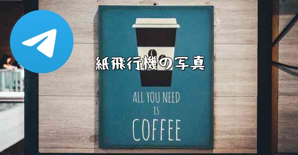 紙飛行機の写真