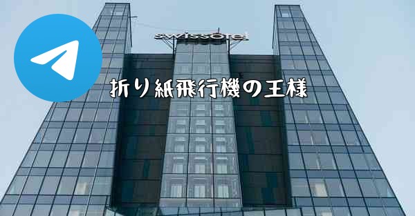 折り紙飛行機の王様