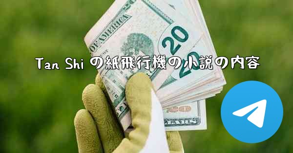 Tan Shi の紙飛行機の小説の内容