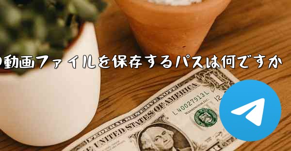 紙飛行機の動画ファイルを保存するパスは何ですか