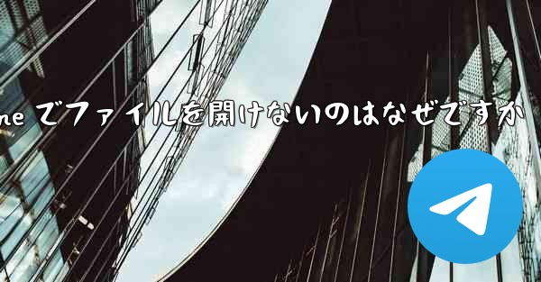 Paper Plane でファイルを開けないのはなぜですか