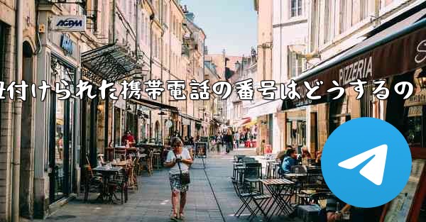 <b>紙飛行機に紐付けられた携帯電話の番号はどうするの</b>