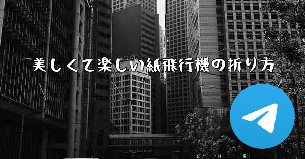 美しくて楽しい紙飛行機の折り方