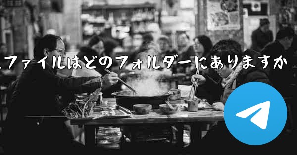 <b>Paper Plane によってキャッシュされたファイルはどのフォルダーにありますか</b>