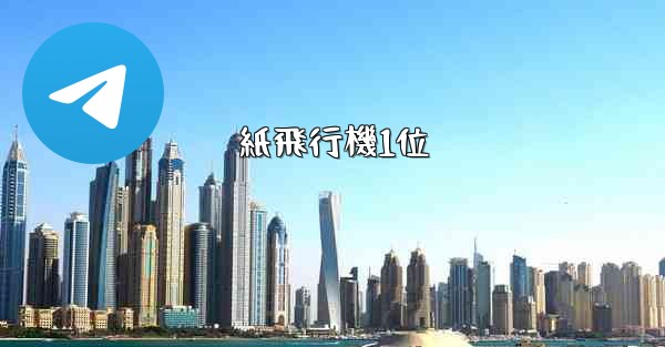 紙飛行機1位