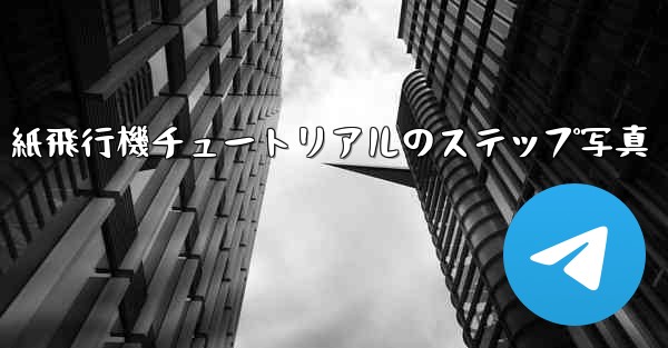 <b>紙飛行機チュートリアルのステップ写真</b>