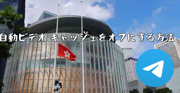 Paper Plane で自動ビデオ キャッシュをオフにする方法