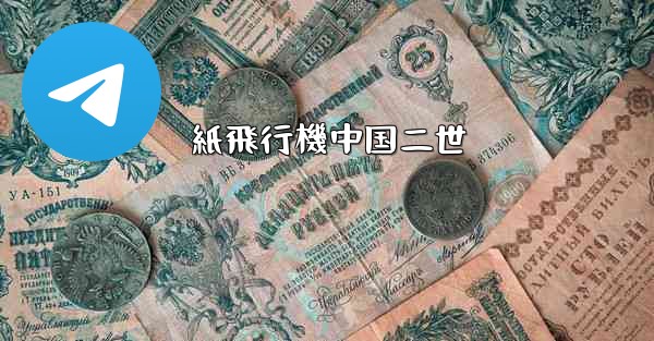 紙飛行機中国二世