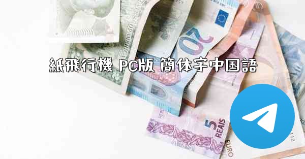 紙飛行機 PC版 簡体字中国語