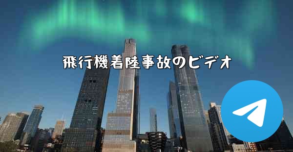 飛行機着陸事故のビデオ