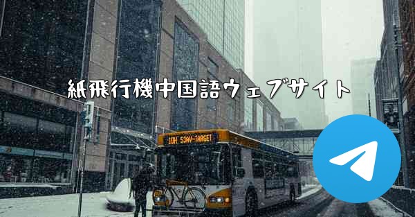 <b>紙飛行機中国語ウェブサイト</b>