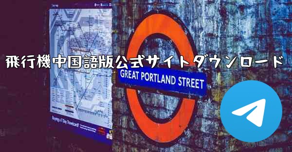 飛行機中国語版公式サイトダウンロード