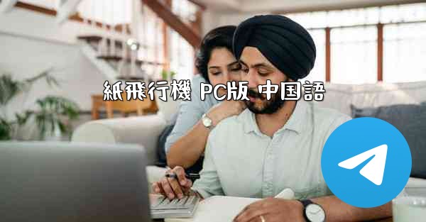 紙飛行機 PC版 中国語