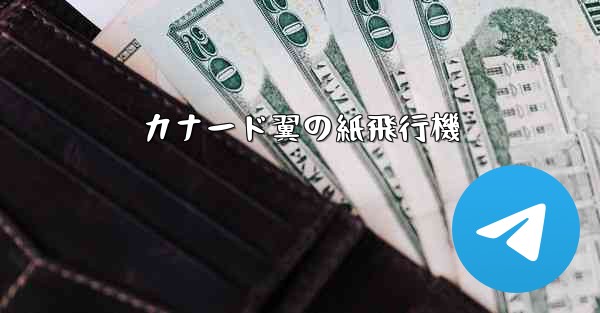 <b>カナード翼の紙飛行機</b>