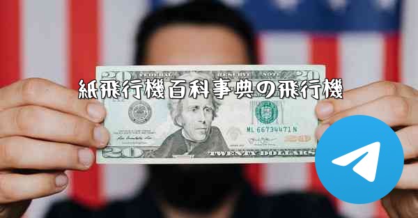 紙飛行機百科事典の飛行機