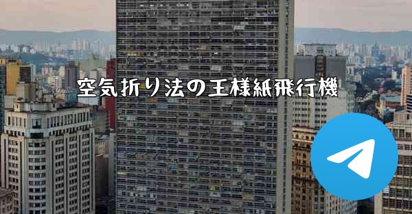 空気折り法の王様紙飛行機