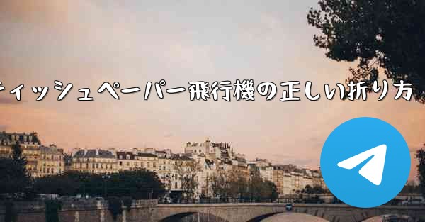 <b>ティッシュペーパー飛行機の正しい折り方</b>