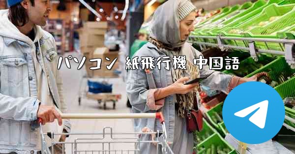 パソコン 紙飛行機 中国語