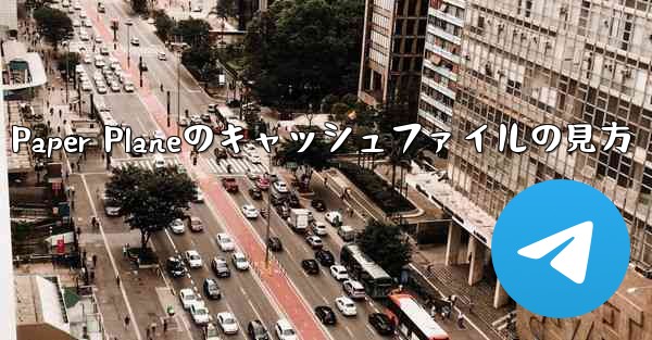 Paper Planeのキャッシュファイルの見方