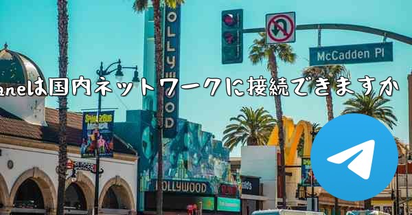 Paper Planeは国内ネットワークに接続できますか
