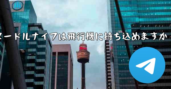 ヌードルナイフは飛行機に持ち込めますか