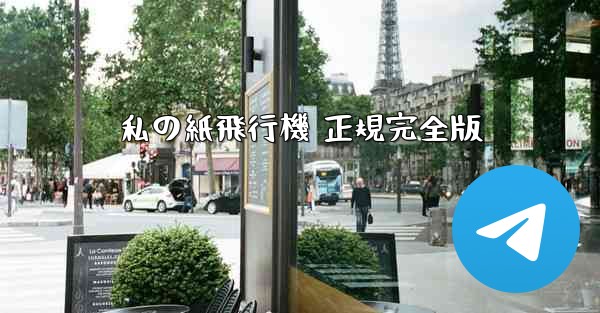 <b>私の紙飛行機 正規完全版</b>