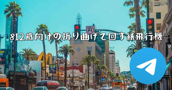 812歳向けの折り曲げて回す紙飛行機