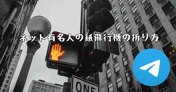 ネット有名人の紙飛行機の折り方