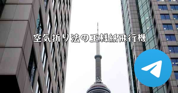 空気折り法の王様紙飛行機