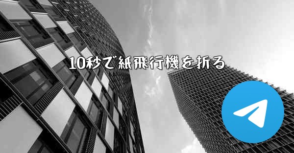 10秒で紙飛行機を折る