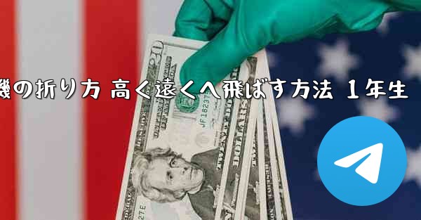 紙飛行機の折り方 高く遠くへ飛ばす方法 １年生