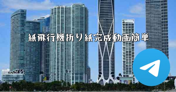 紙飛行機折り紙完成動画簡単