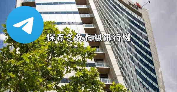 保存された紙飛行機