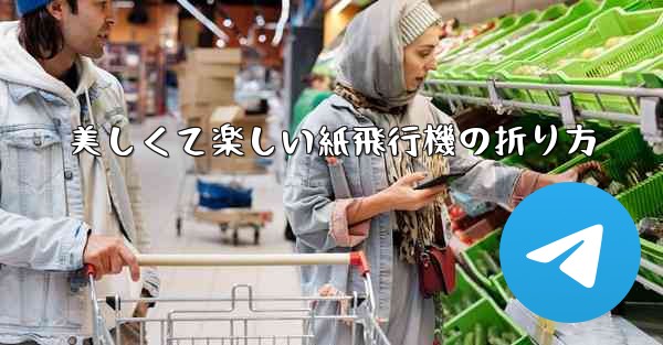 美しくて楽しい紙飛行機の折り方