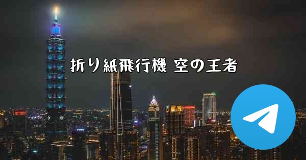 折り紙飛行機 空の王者