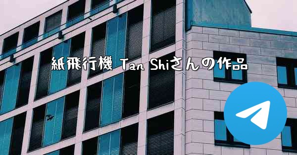 紙飛行機 Tan Shiさんの作品